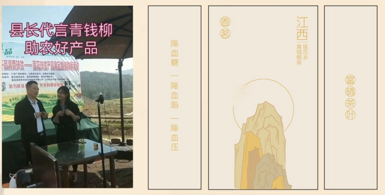 山月织暖，复星基金会铺就茶叶助农路