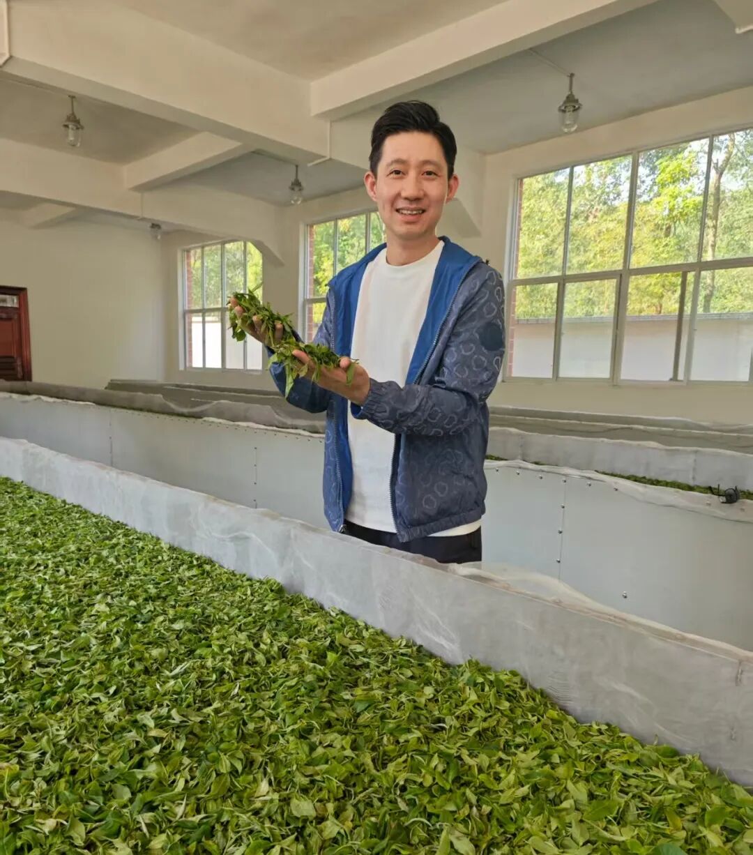 山月织暖，复星基金会铺就茶叶助农路