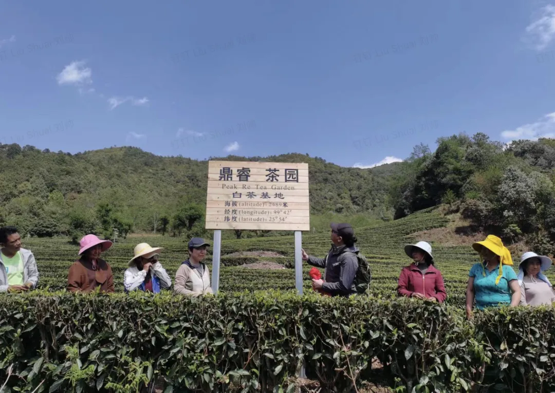 复星捐赠1亿,复旦大学附属医院发展基金启动 复星捐赠1亿,复旦大学附属医院发展基金启动