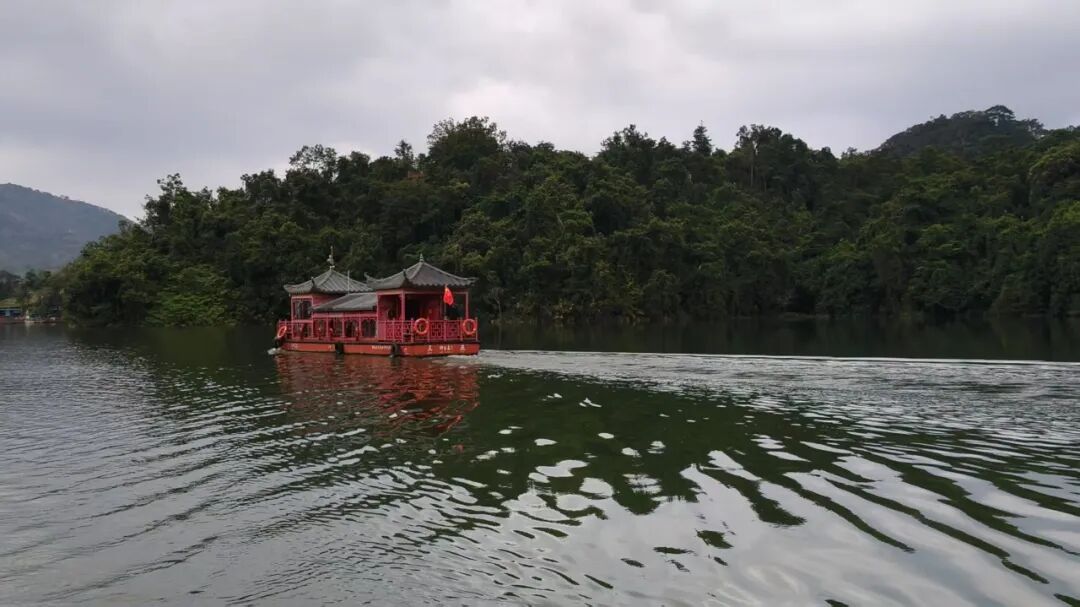 助天下 在路上 | “青年村医培养”+“关爱豆蔻计划”，构筑海南保亭乡村振兴健康防线