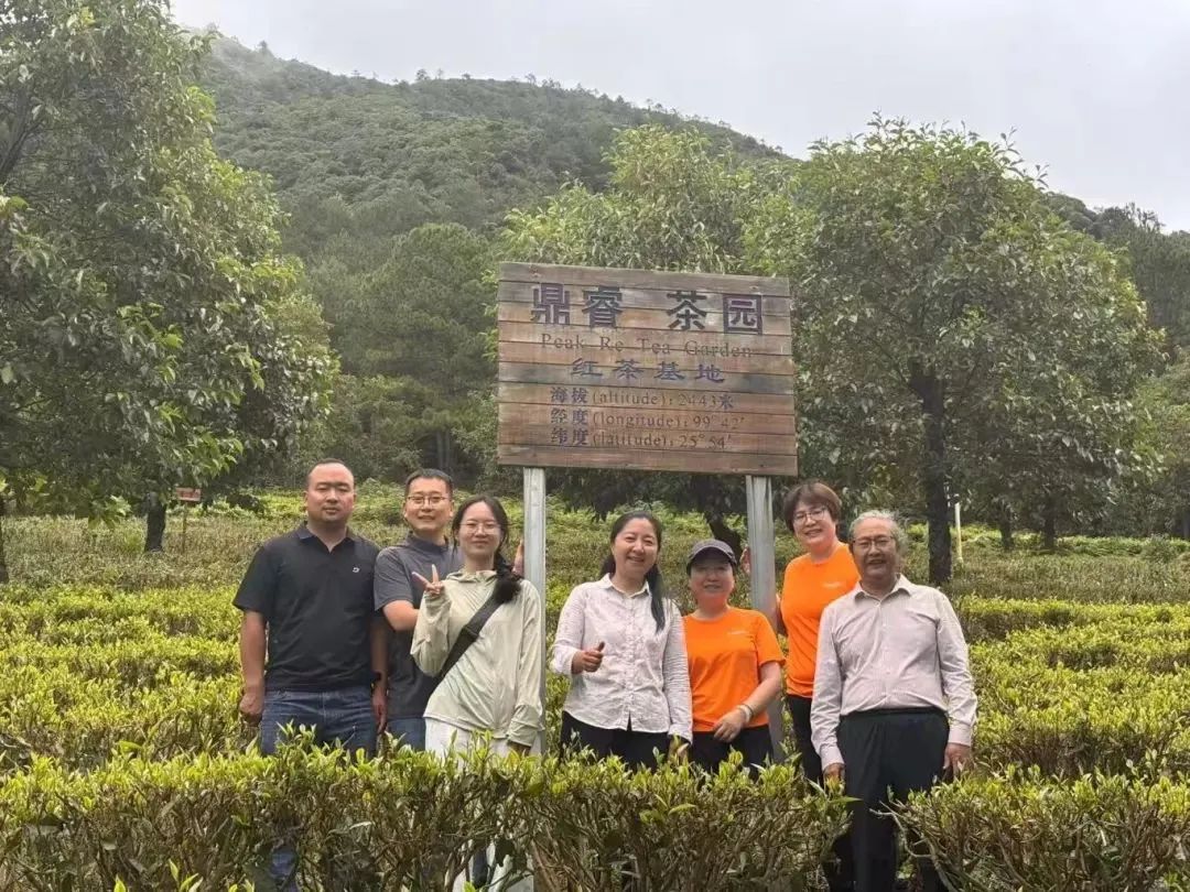 山月织暖，复星基金会铺就茶叶助农路