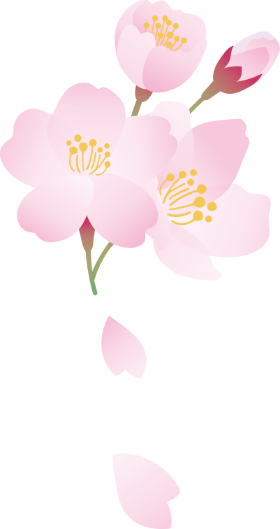 3月8日星期六  | 「女神」在人间