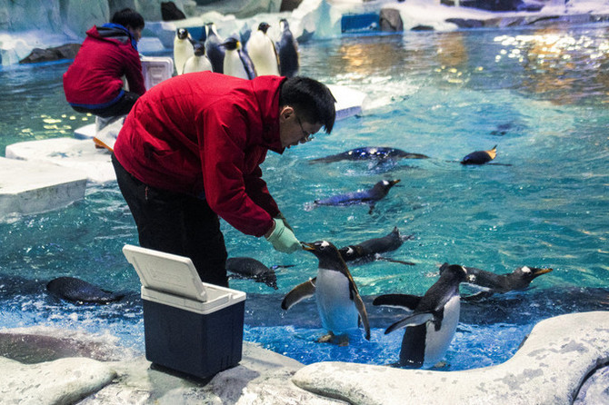 「我是公益家」远见者行动营招募开启！