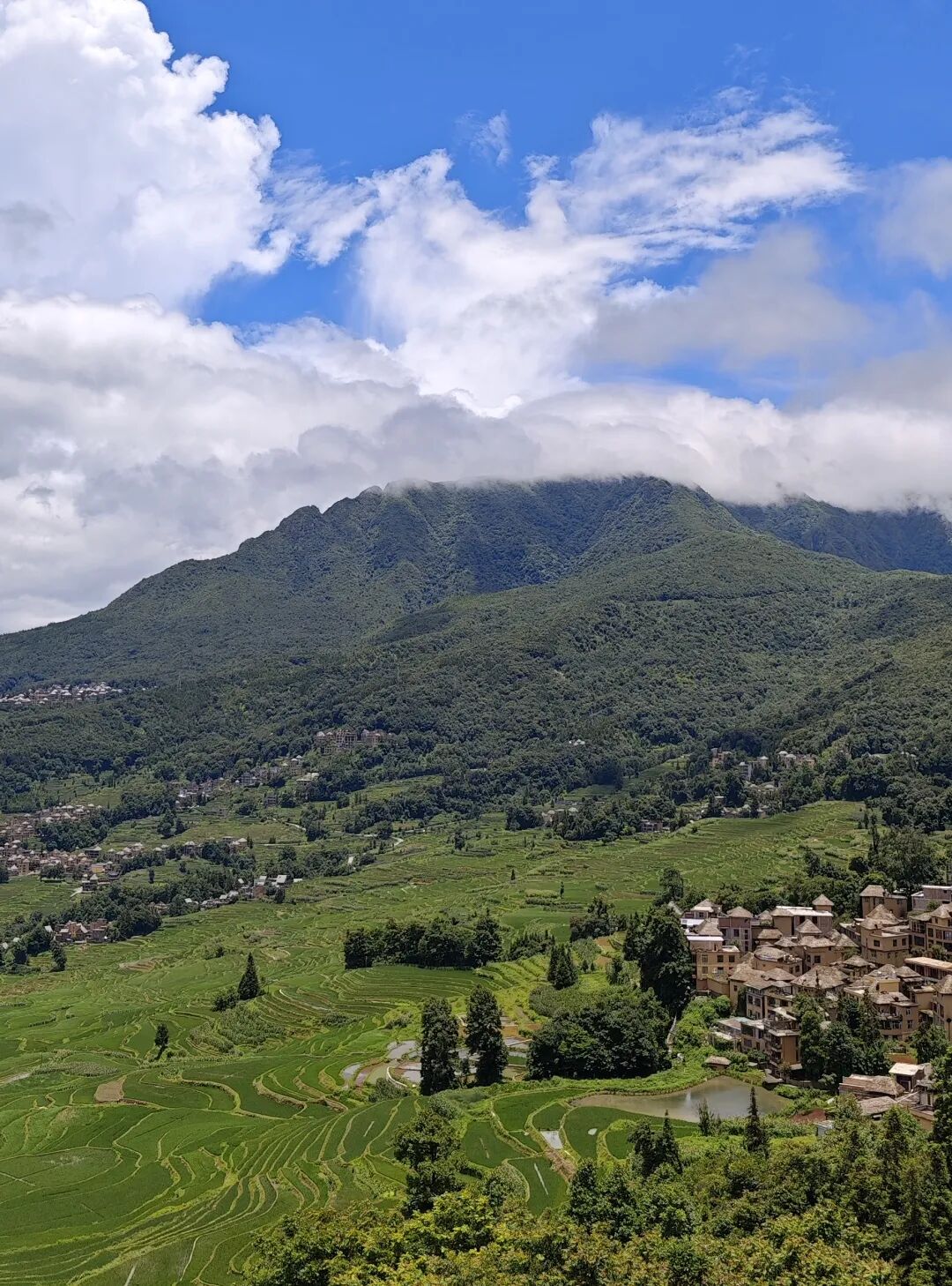 助天下 在路上 | 多方聚力，智慧赋能云南红河两县筑牢基层健康网