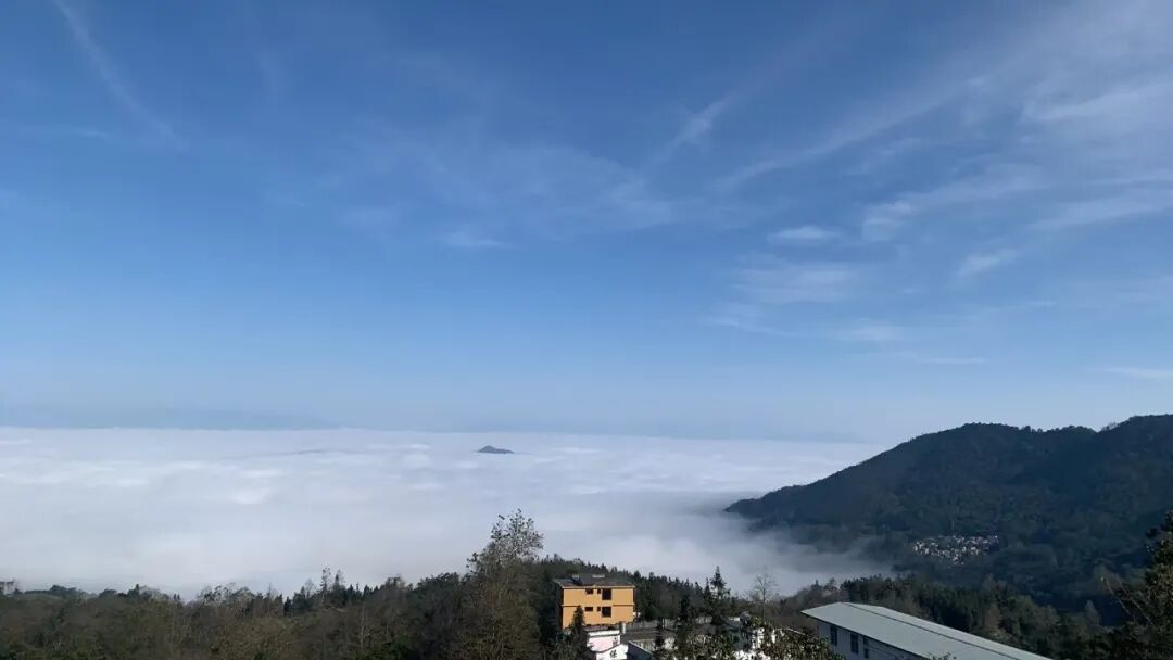 助天下 在路上 | 多方聚力，智慧赋能云南红河两县筑牢基层健康网