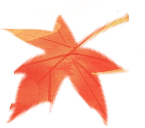 国际女童日 | “关爱豆蔻计划”汇聚多方爱心走进云南镇雄