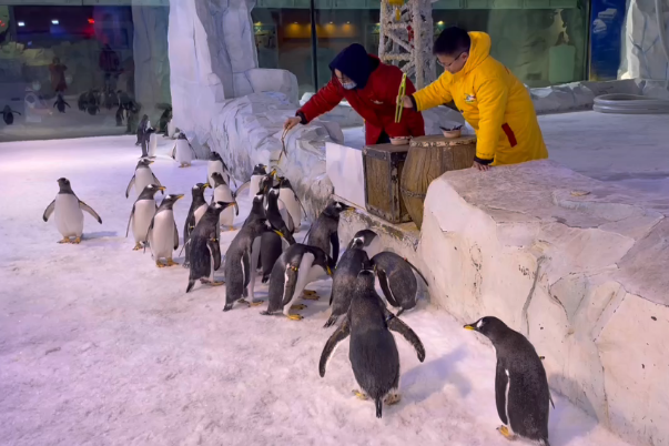 「我是公益家」远见者行动营招募开启！