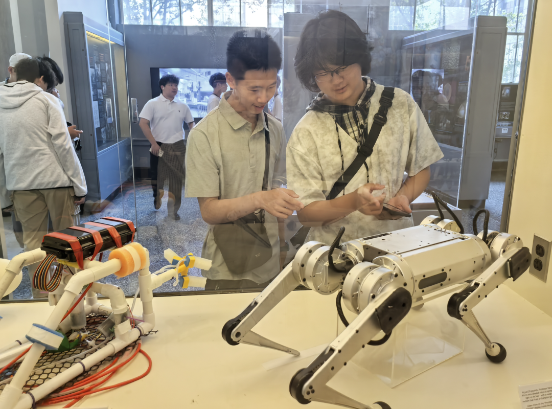 复星基金会2025年度向善回望  ོ