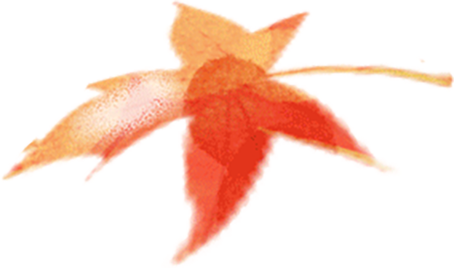 国际女童日 | “关爱豆蔻计划”汇聚多方爱心走进云南镇雄