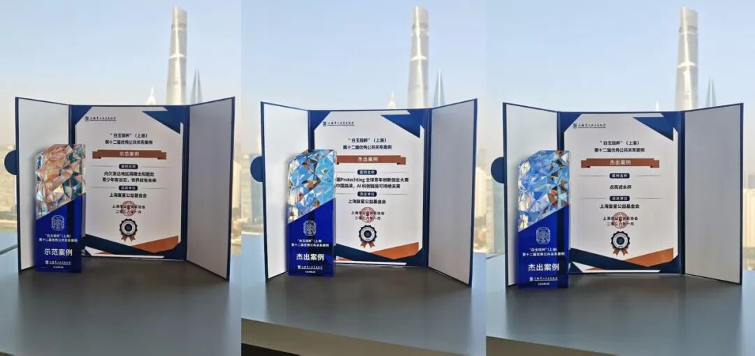 恭喜！复星基金会选送三个项目获“白玉琮杯”嘉奖