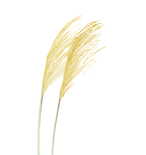 助天下 在路上｜江西四县行，乡村医生项目聚焦村医能力长效提升