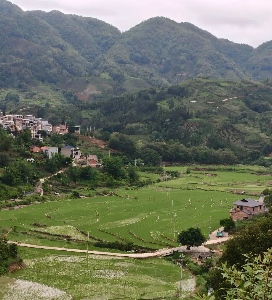 助医+助学,“乡村振兴健康公益行”第二站来到云南广南 助医+助学,“乡村振兴健康公益行”第二站来到云南广南